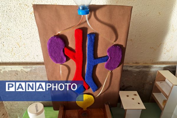 نمایشگاه دست سازه‌های علوم و آزمایشگاه در دبیرستان پویش 