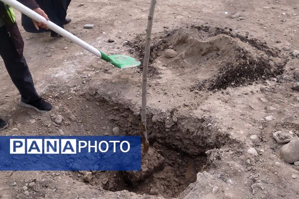 برگزاری مراسم روز درختکاری در شهرک وحدت شهرستان فردیس 