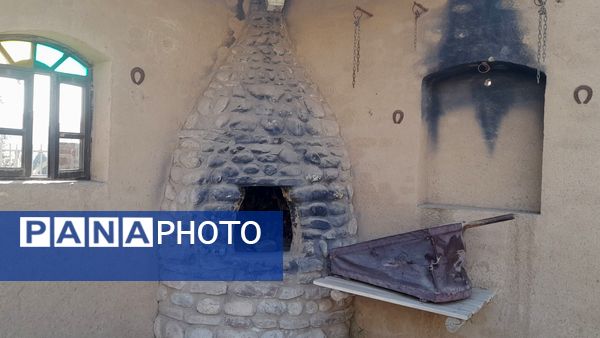 یادگیری و تفریح در اردوی پارک دانش