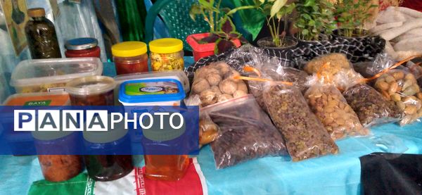  آیین افتتاحیه نمایشگاه پایگاه‌های مقاومت بسیج اسوه‌ شهرستان ملایر