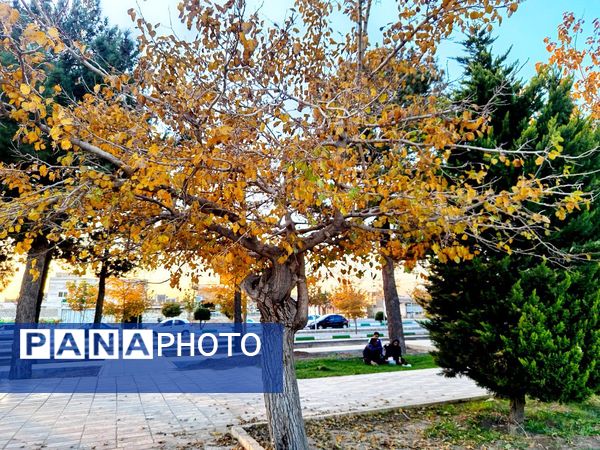 طبیعت زیبای کاشمر در پاییز