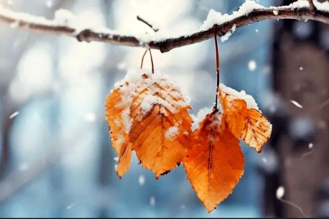 سامانه بارشی امروز وارد کشور می‌شود/ برف و باران در 23 استان