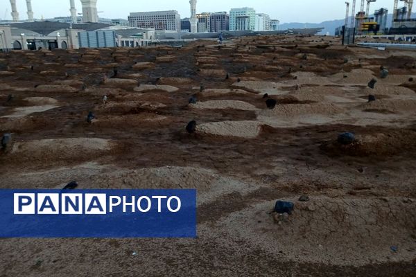 زیارت خبرنگار پانا از قبرستان ائمه بقیع