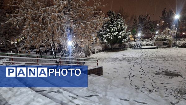 پارک‌های شهر مشهد در آغوش برف