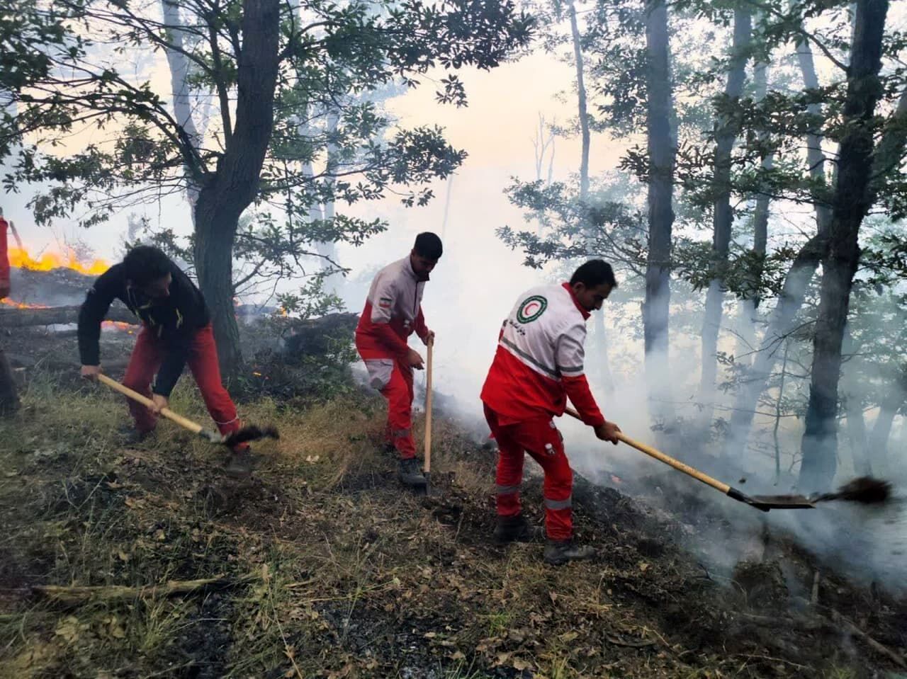 دستور رئیس سازمان بازرسی در پی آتش‌سوزی در جنگل‌های هیرکانی/ با هرگونه قصور برخورد شود