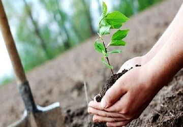 کاشت بیش از ۳۳ هزار نهال در بوستان سرخه‌حصار