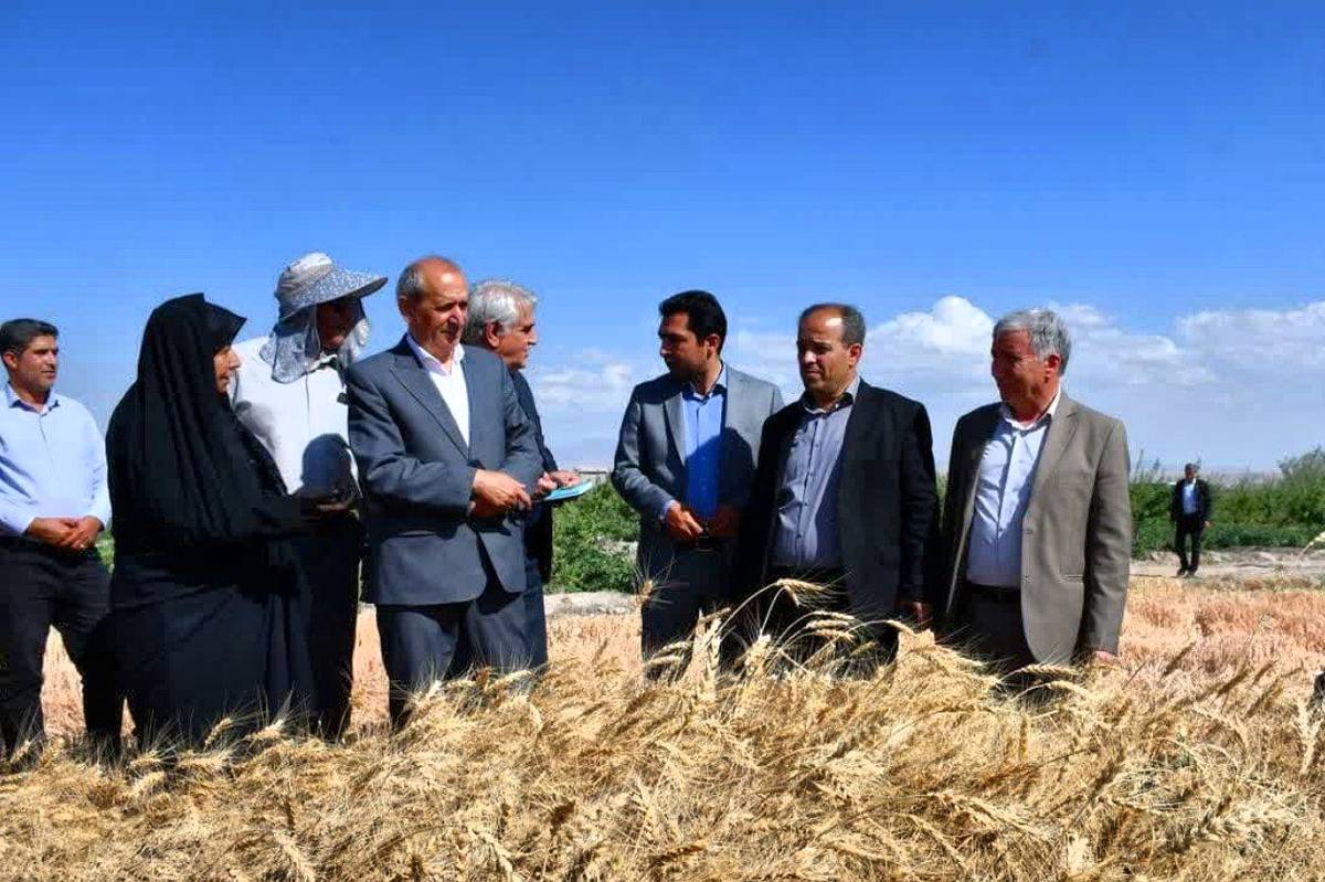 ارتقای بهرهوری و حمایت از کشاورزان اولویت سال زراعی آینده است