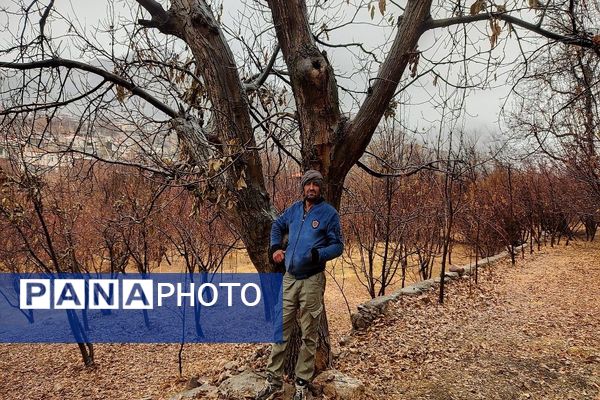 چهره شفاف و دل انگیز شهربارنیشابور با بارش  باران پاییزی  