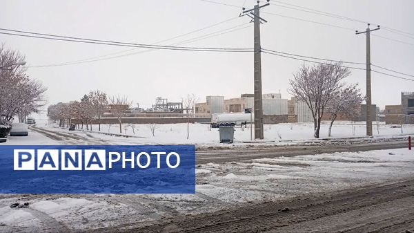 شازند سفیدپوش شد