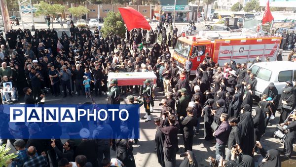 پیاده‌روی جاماندگان اربعین در شهرستان بیرجند