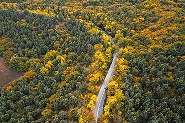 نیاز فوری جنگل‌های هیرکانی به بارش