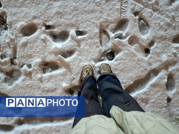 ورود باشکوه زمستان به نیشابور 