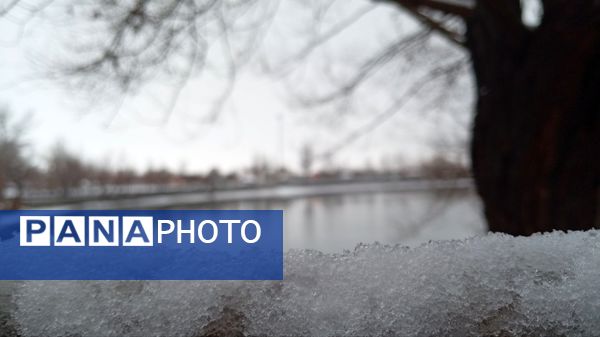 گرداب بن زیر چتر سپید برف