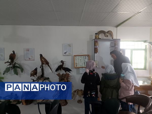 بازدید دبستان دخترانه شاهد۲ حضرت رقیه(س)، از موزه حیات وحش شیروان