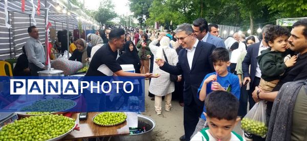 چهارمین جشنواره آلوچه در شهرستان صومعه‌سرا