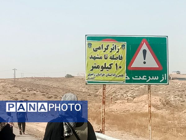 گام هایی از جنس عشق به امام رضا (ع)