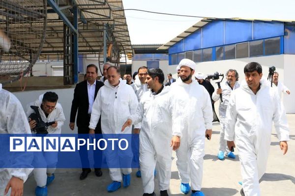 آیین افتتاح شرکت سینا فناوران ماندگار در شهرستان ملارد 
