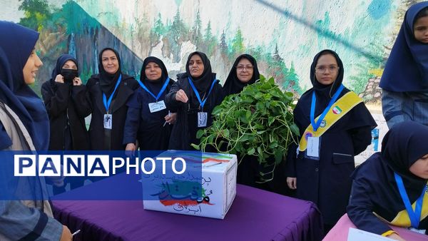 انتخابات شورای دانش آموزی دبیرستان شاهد تکتم ناحیه۳