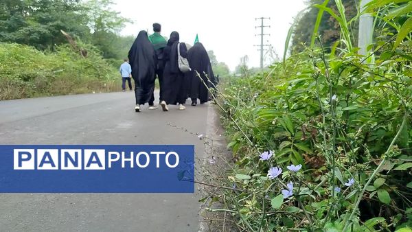 پیاده‌روی اربعین حسینی در آمل 