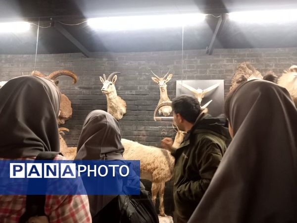 بازدید از پارک علمی تفریحی پروفسور بازیما مشهد