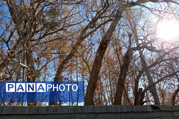 خزان زیبا در کوچه باغ‌های شهر بهمن