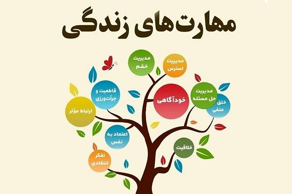 بایدمهارت‌های حل‌مسئله و تفکر خلال در کنار کتاب‌های درسی به دانش‌آموزان آموزش داده شود