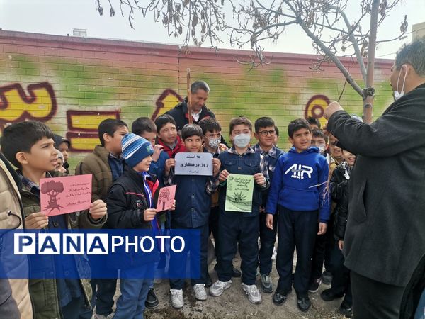 کاشت نهال در دبستان پسرانه مبین شیروان