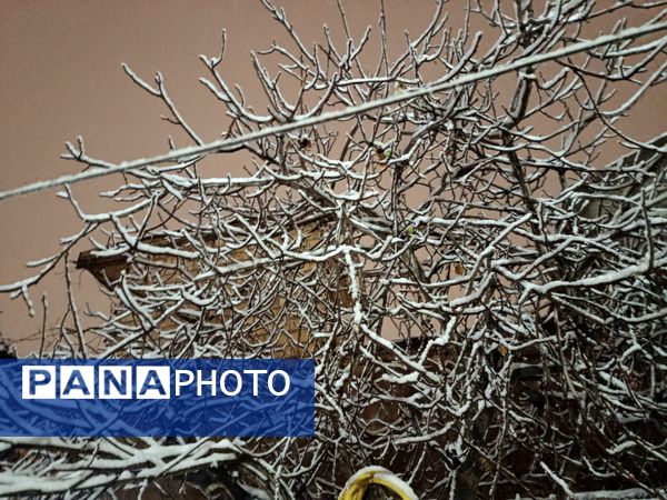 ورود باشکوه زمستان به نیشابور 