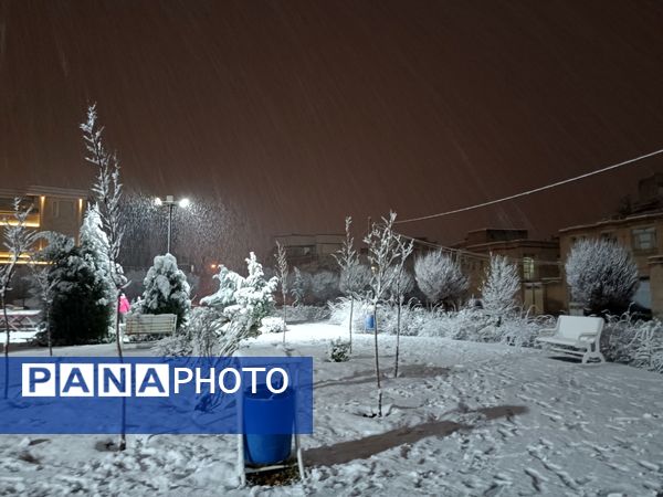 ورود باشکوه زمستان به نیشابور 