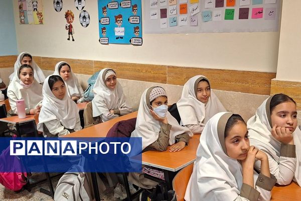 پویش کیف سبک-ذهن پربار