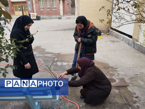 کاشت درخت در هنرستان بصیرت آشخانه