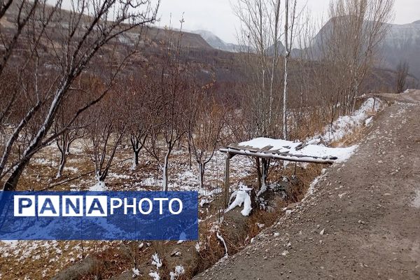 خودنمایی برف در شهر بار نیشابور