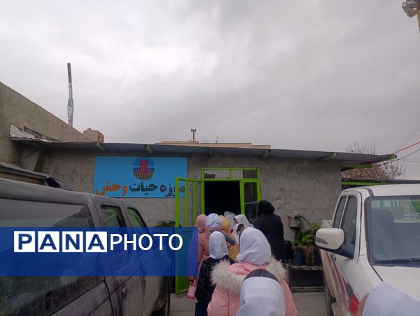 بازدید دبستان دخترانه شاهد۲ حضرت رقیه(س)، از موزه حیات وحش شیروان