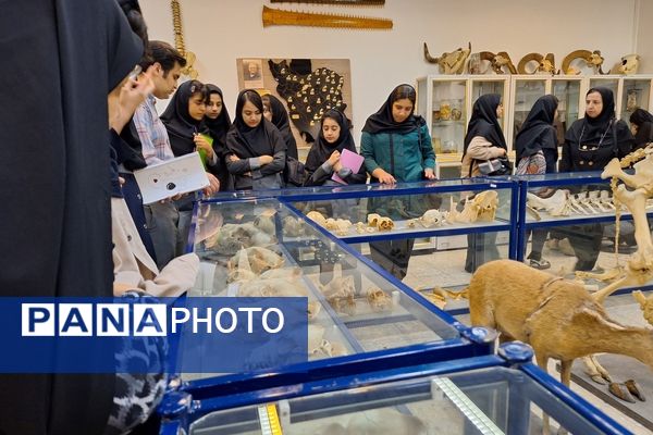 بازدید دانش‌آموزان از موزه زمین شناسی و جانور شناسی دانشگاه فردوسی مشهد