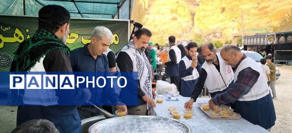 پیاده‌روی ولایت به‌مناسبت شهادت امام رضا (ع) در شهرستان جم