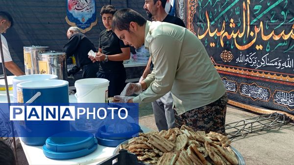 عاشقان امام رضا(ع) در راه مشهد مقدس