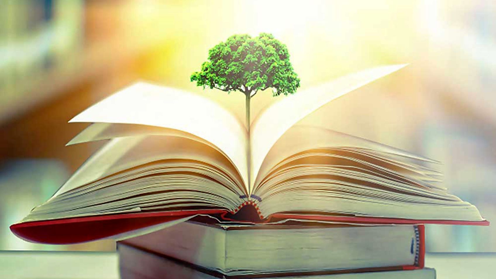 کتاب، گنجینه‌ای گران‌بها و همراهی وفادار برای دانش‌آموزان در فراز و نشیب زندگی است