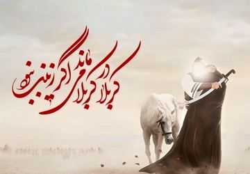 سیره حضرت زینب(س)؛ راهی برای ارتقاء معرفت و بصیرت