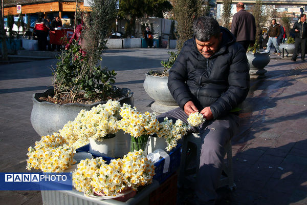 خرید شب یلدا در تهران