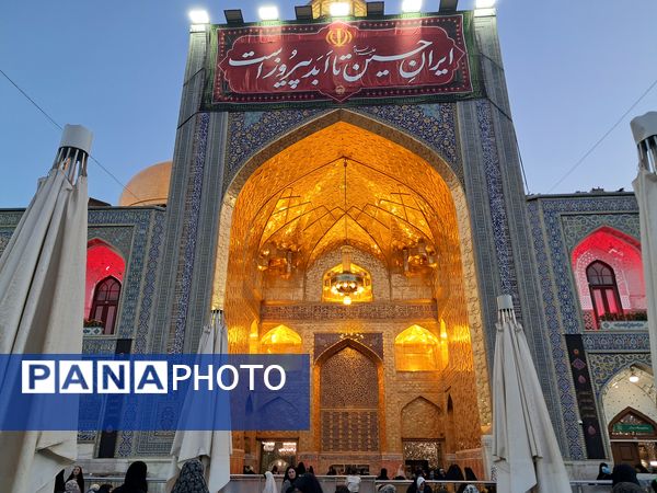 کبوتر حرم مشهد مقدس