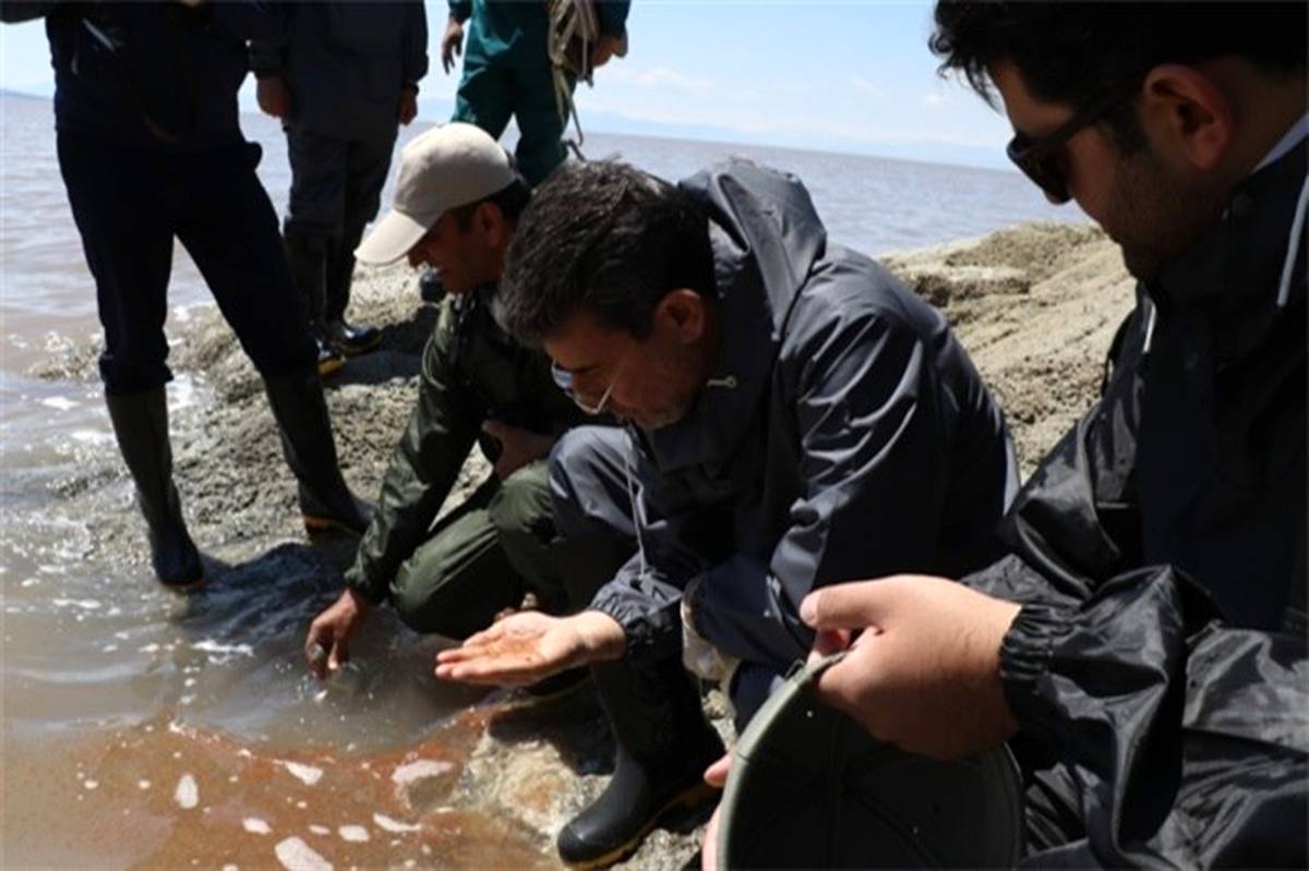 حجم آب دریاچه ارومیه، 3/2 میلیارد مترمکعب افزایش یافته است
