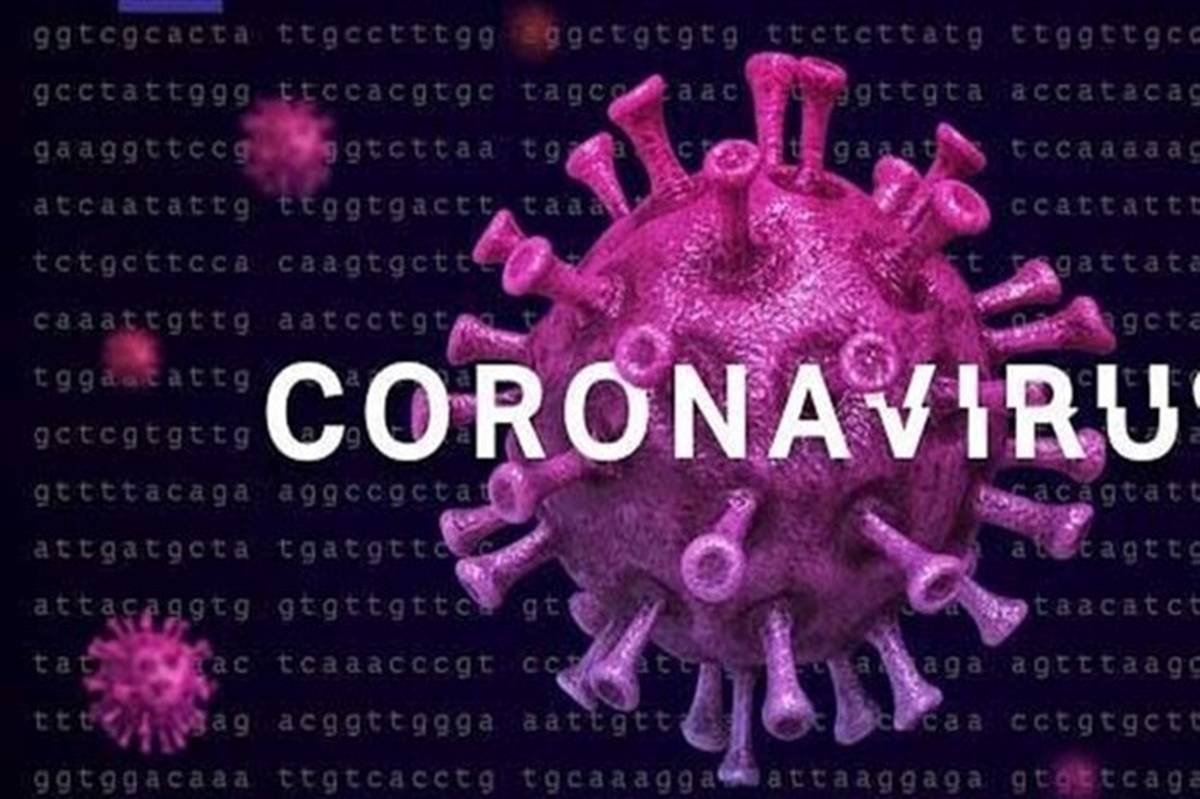 شناسایی ۷۳ مورد جدید ابتلا به کروناویروس در فارس و افزایش مبتلایان به ۴۱۱۴ نفر
