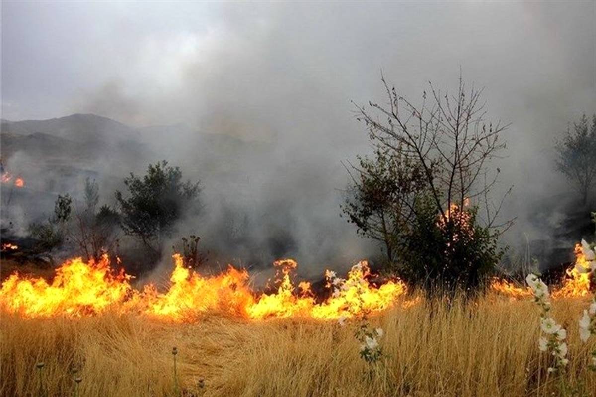 آتش سوزی در 5 هکتار از مزارع گندم