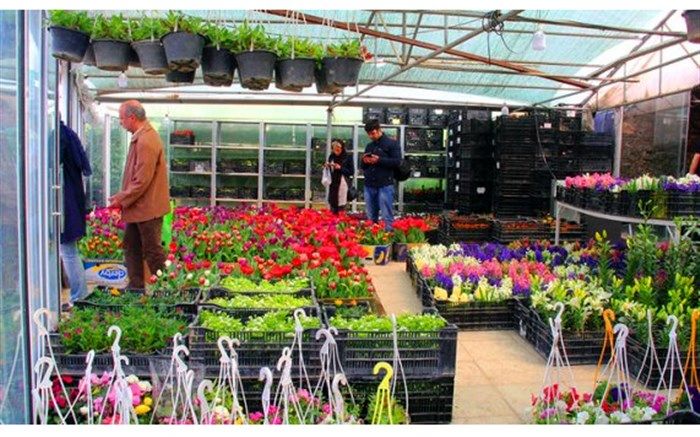 بازار گل محلاتی منتقل می‌شود