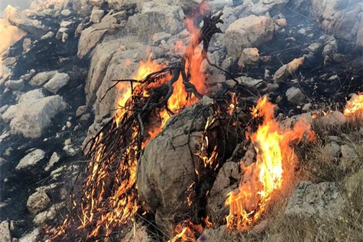 منطقه حفاظت شده خائیز کهگیلویه در آتش می سوزد