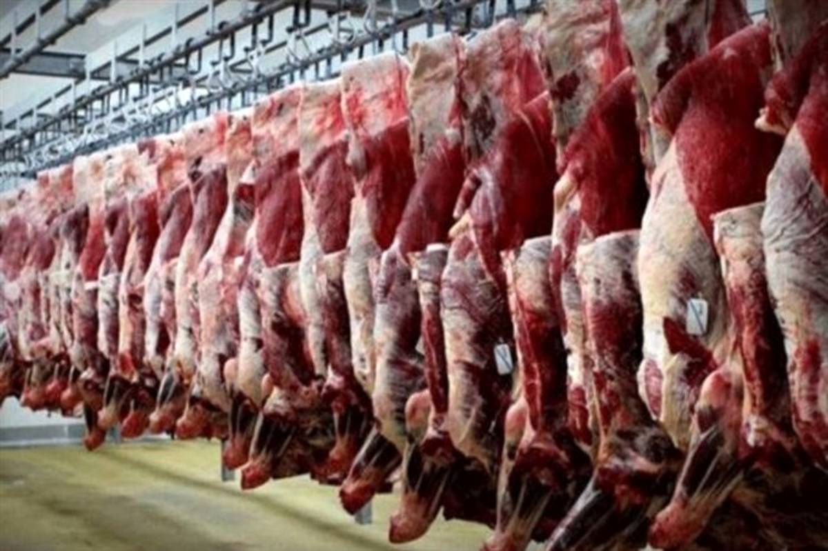 دلال بازی و افزایش تقاضا علت گرانی گوشت قرمز