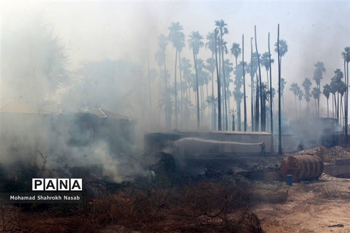عاملان آتش‌سوزی جنگل‌های "خائیز" دستگیر شدند