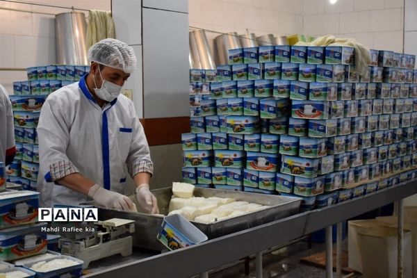 بازدید سازمان جهاد کشاورزى از نگهدارى و تولید پنیر لیقوان