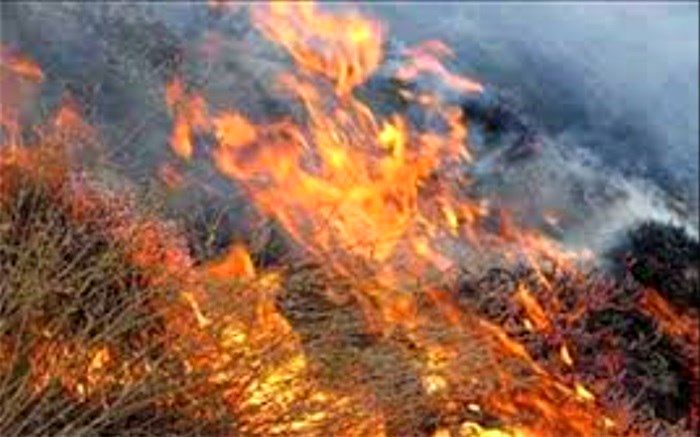 مهار کامل آتش در عرصه های منابع طبیعی دهمورد شهرستان بختگان