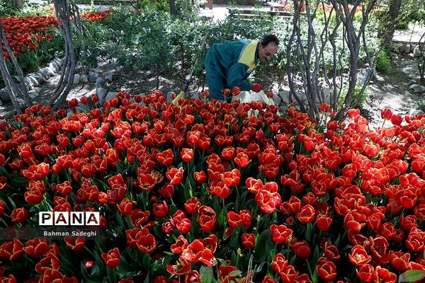 باغ ایرانی، بهشتی برای پایتخت نشینان